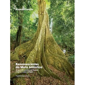 Capa do livro Remanescentes da Mata Atlântica,: As grandes árvores da floresta original e seus vestígios