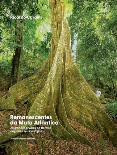 Remanescentes da Mata Atlântica: As grandes árvores da floresta o...