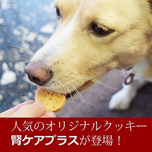 愛犬の腎不全におすすめなフードやおやつ サプリメント選を紹介 Petly
