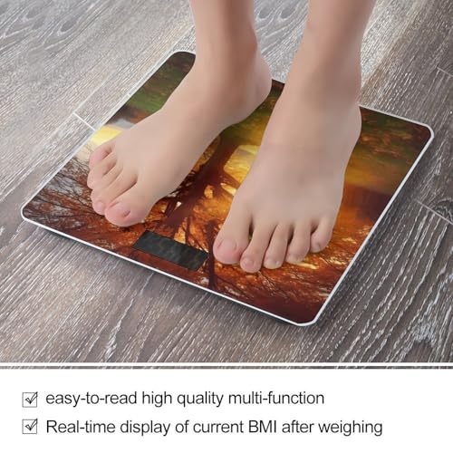 Báscula digital para baño con vidrio templado y pantalla LCD miniatura 5