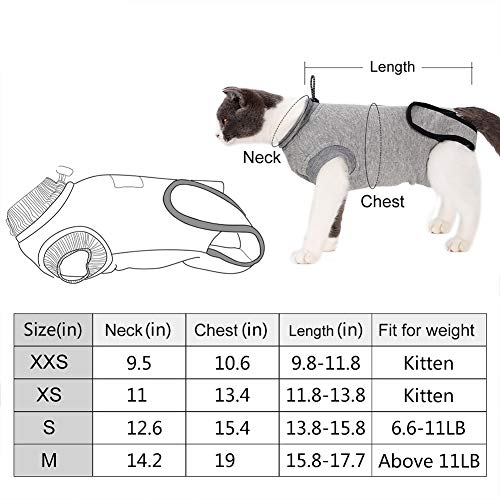 Rozkitch Professional Cat Recovery Suit For Surgical Abdominal Wound And Skin Problem, Breathable E-Collar Alternative For Cat And Dog After Surgey Wear, Anti Licking Wound Recommended By Vet Xs #TOP1