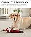 Charming Pet Lil Roperz Fox Durable Plush and Rope Tug Dog Toy
