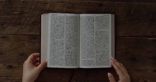 Image of ESV Large Print Thinline Bible (TruTone, Mahogany): Holy Bible, English Standard Version