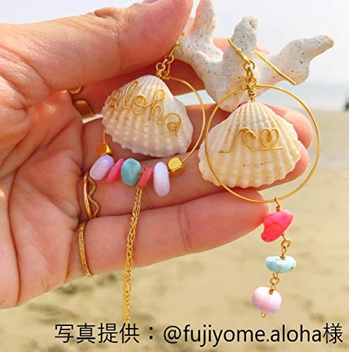 白色貝殻 2個セット Amazon.co.jp: 【貝殻の問屋さん】フラバス(二枚貝)【約3～5cm