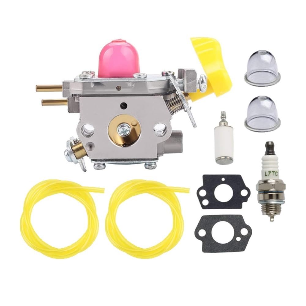 Kit carburateur souffleur BVM210VS pour réparer les pannes C1U-W45