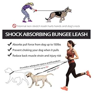 Hands-Free-Dog-Leash-Waist-Leash-for-Dog-Walking-Running-Leash-with-Zipper-Pouch-for-Medium-Large-Dogs-Dual-Handle-and-Retractable-Bungee-Hands-Free-Leash-for-Training-Jogging-Hiking - Cucciolini Doodles   Hands-Free-Dog-Leash-Waist-Leash-for-Dog-Walking-Running-Leash-with-Zipper-Pouch-for-Medium-Large-Dogs-Dual-Handle-and-Retractable-Bungee-Hands-Free-Leash-for-Training-Jogging-Hiking