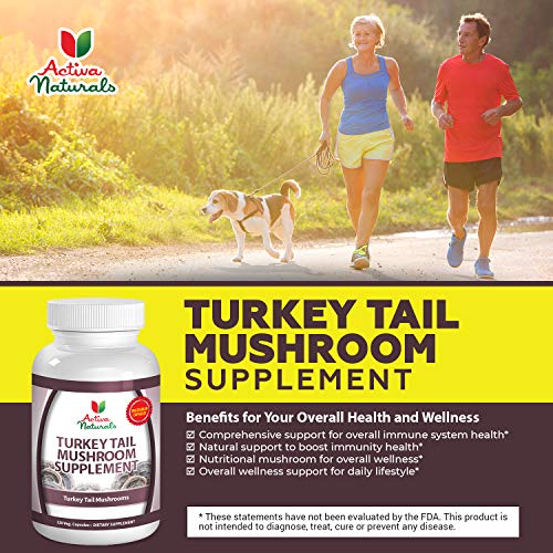 Turkey Tail Mushroom Supplement - 120 Veg. Capsules With Coriolus Versicolor Mushrooms #TOP5