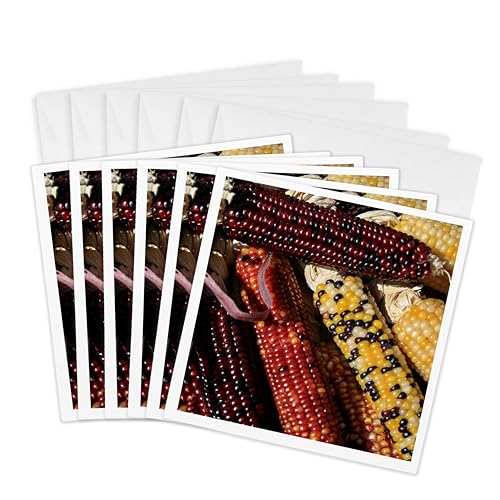Cartes de vœux Père Noël Nouveau-Mexique lot 6 cartes 3dRose