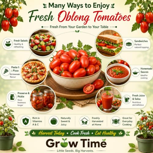 Image of Oblong Tomato Vegetable Seeds, Vegetable Seeds for Home Gardening, Vegetable Planting Seeds for Kitchen, Tomato Seeds (Pack of 2g)