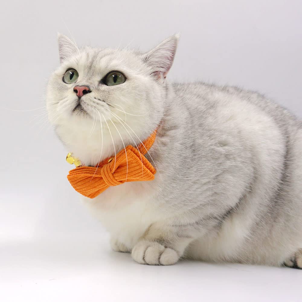 無地ミント、わんちゃん猫ちゃん用襟つき首輪