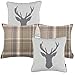 McAlister Textiles Cuscini Cervo e Tartan Scozzese con Imbottitura | Cuscini Decorativi per Divano, Letto, Sedie, Motivo a Strisce| Beige Naturale 43x43cm | Set di 4 - 2x Tartan e 2 x Cervo