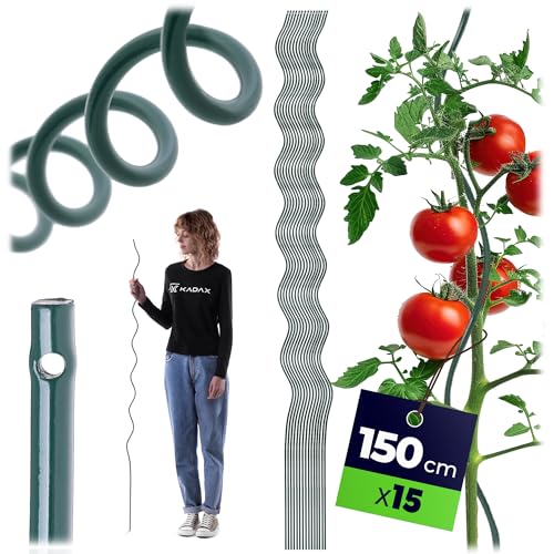 KADAX Lot de 15 tuteurs en spirale pour tomates - 150 cm x 6 mm - En acier avec revêtement en plastique - Tuteurs pour tomates et plantes grimpantes