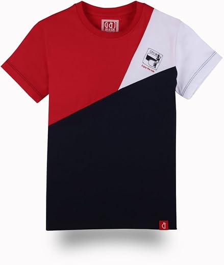 Gini and Jony Boys Red Color Block Cotton Half Sleeves T-Shirt