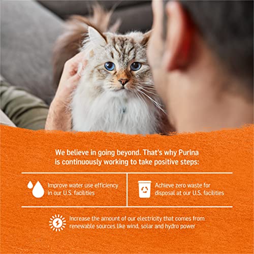 Beyond 00017800179027 Purina Beyond Grain Free, Natural Pate Wet Cat Food thumb #4