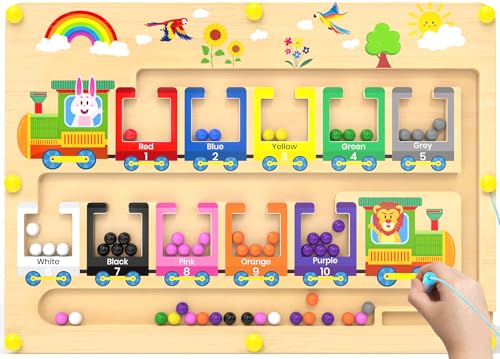 Dusor Montessori Spielzeug ab 2-3 Jahre Magnetspiel Labyrinth Spiele Spielzeug für Mädchen und Jungen Kinderspielzeug Motorikspielzeug Geschenke für 3-4 Jahre