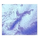 Embrace Tiger Return To Mountain