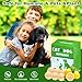 24Pack Katzenabwehrmittel Outdoor Indoor - Natürliches Pfefferminzöl Katzenabschreckung, Katzen dauerhaft vom Hof fernhalten, streunende Katzen Hunde fernhalten, wirksames Hundeabwehrmittel für Hunde