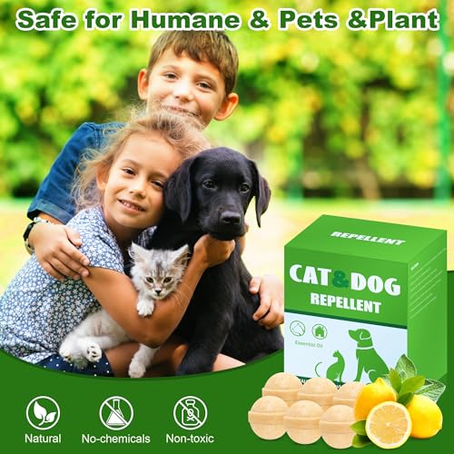 24Pack Katzenabwehrmittel Outdoor Indoor - Natürliches Pfefferminzöl Katzenabschreckung, Katzen dauerhaft vom Hof fernhalten, streunende Katzen Hunde fernhalten, wirksames Hundeabwehrmittel für Hunde