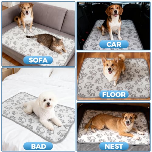 XRVRILE 5 Kuscheldecke Katzendecke für Hunde und Katzen, Flauschige Haustierdecke 40x60 cm, Waschbar, Graue Dog Blanket für Sofa, Hundedecke für Kleine Hunde Haustiere Unterwegs