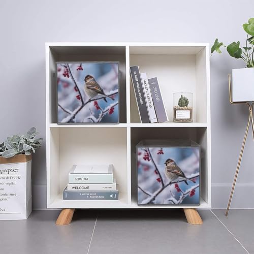 Panier de rangement pour étagères et placards avec boîtes pliables