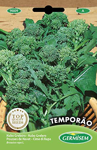 Germisem Temporao Semi di Verdi Rapa 20 g