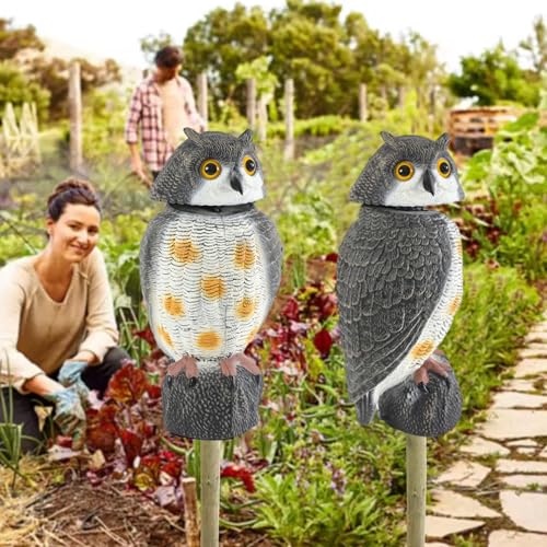 Señuelo de búho para decoración exterior de jardín y protección natural de plantas 3