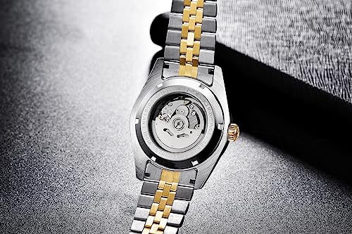 Image of Pagani Design Men's Watch Automatic Watch Japanese Automatic Movement Classic Timepiece Sapphire Crystal 100m Water Resistance Luminous Business Men's Watch