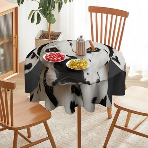 Nappe ronde imprimée dalmatien, l'élégance pour table à manger