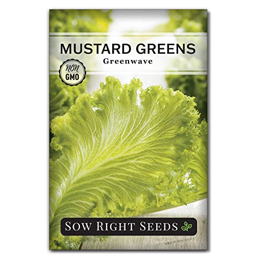 Sow Right Seeds - Large Greens Seed Collection For Planting - Spinach, Arugula, Kale, Lettuce, Tat Soi, Pak Choi, Mustard Greens And Swiss Chard - Non-Gmo Heirloom Seeds To Plant & Grow A Home Garden #TOP5