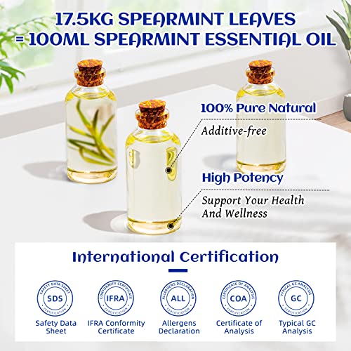 Hiqili Spearmint Essential Oil,100% Pure Natural - For Diffuser,Candle Making Diy - 3.38 Fl Oz. #TOP5