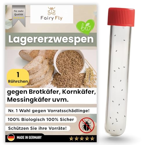 Lagererzwespen gegen Brotkäfer Kornkäfer & Messingkäfer 1 Röhrchen à 40 Nützlinge Biologische Alternative zur Brotkäfer Falle 100% chemiefrei Made in Germany
