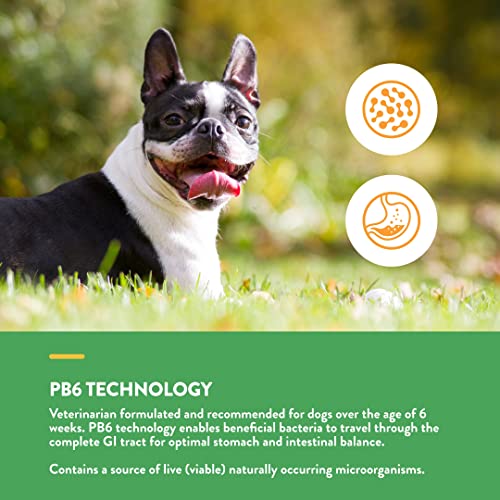 Naturvet – Advanced Probiotics & Enzymes - Plus Vet Strength Pb6 Probiotic – Supports And Balances Pets With Sensitive Stomachs & Digestive Issues – For Dogs & Cats 240 Ct #TOP2