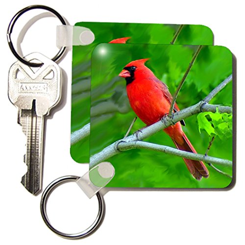 Porte-clés rouge cardinal 3drose lot de 6 pièces de 5,7 x 11,4 cm