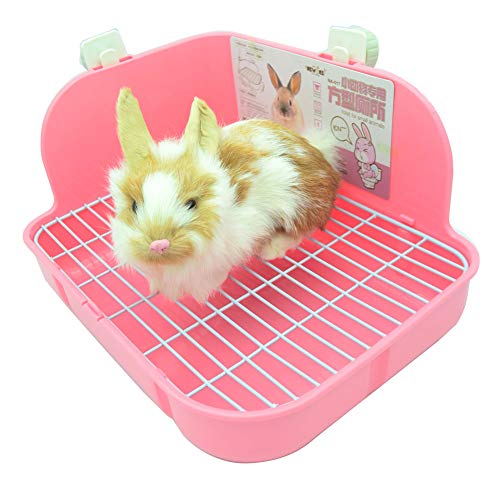 25 Best Hedgehog Litter Boxes and Pans of 2020 (Reviews & FAQs)