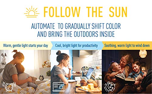 Cree Lighting Connected Max Smart Led Bulb A19 60W Tunable White + Color Changing, 2.4 Ghz, Works with Alexa and Google Home, No Hub Required, Bluetooth + WiFi, 1Pk Cree Lighting Connected Max Smart Led Bulb A19 60W Tunable White + Color Changing, 2.4 Ghz, Works with Alexa and Google Home, No Hub Required, Bluetooth + WiFi, 1Pk
