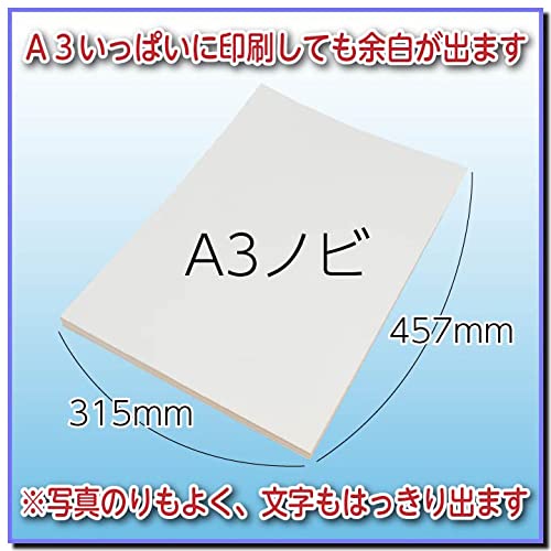 Amazon.co.jp: A3 Nobi Printing Paper, Matte Paper, 100