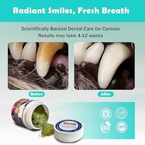 Dog Teeth Cleaning Powder-Dog Dental Care and Bad Breath Treatment, Plaque Removal Herbal Dental Powder for Healthy Teeth & Gums for All Dogs Dog Teeth Cleaning Powder-Dog Dental Care and Bad Breath Treatment, Plaque Removal Herbal Dental Powder for Healthy Teeth & Gums for All Dogs