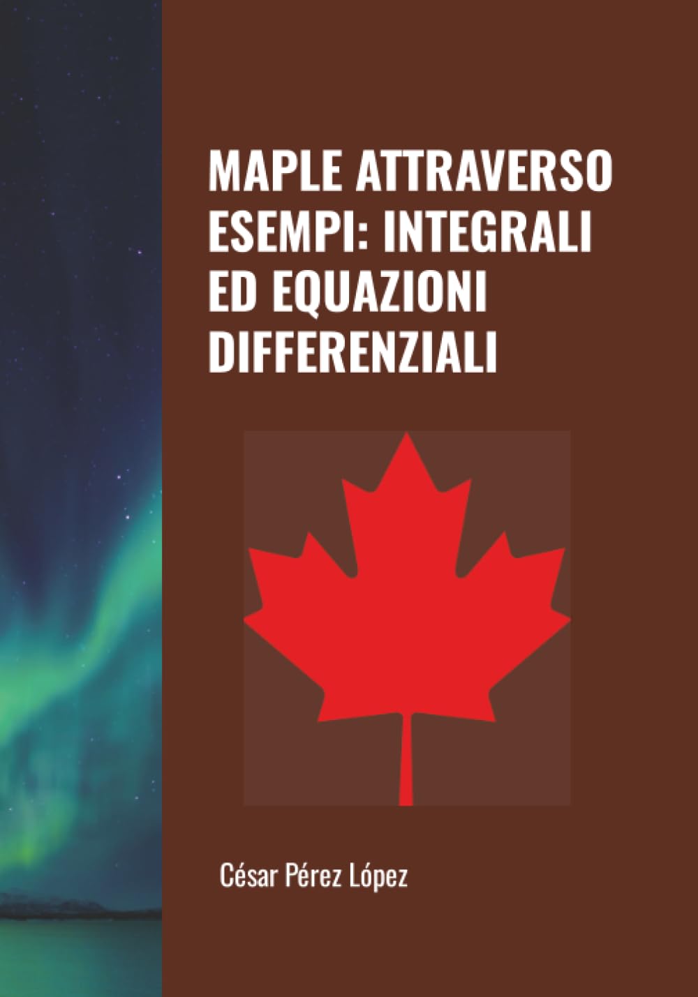 MAPLE ATTRAVERSO ESEMPI: INTEGRALI ED EQUAZIONI DIFFERENZIALI