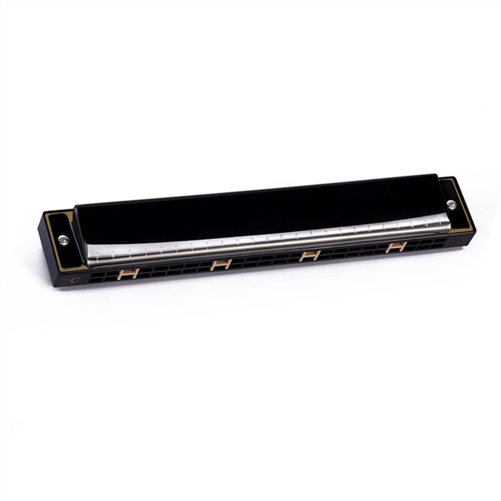 Armonica Professionale A 24 Fori per Principianti Armonica Diatonica A Doppio Tremolo per Regalo Armonica per Principianti (Color : 02)