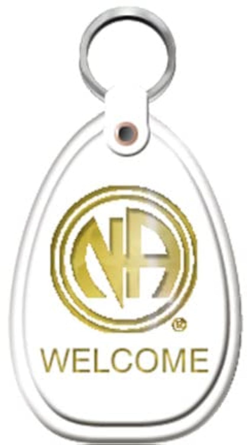 RecoveryChipNA Keychain White Just For Today Sobriety Narcotics Anonymous Welcome Keytag, White, S