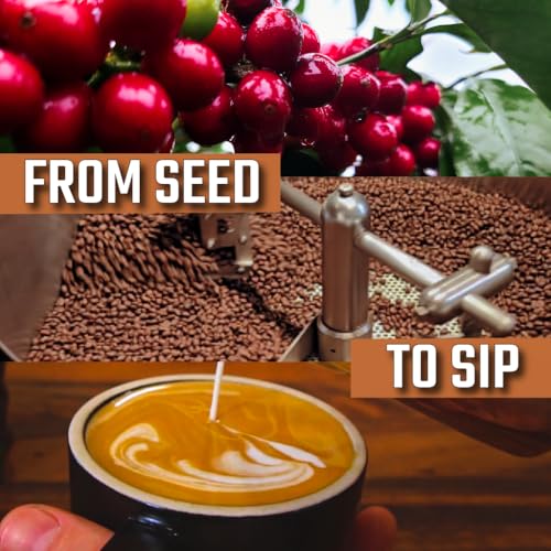 KONA EARTH 100% Kona Peaberry
