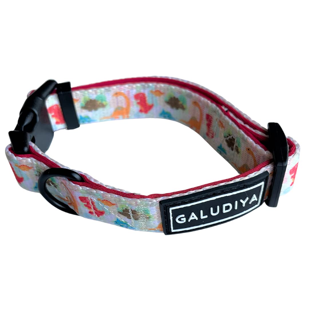 GALUDIYADog Collar for Small Medium Large Dogs, Fully Adjustable, Stylish Comfortable Soft Neoprene Breathable Fabric - JURASSIC BARK (SMALL)