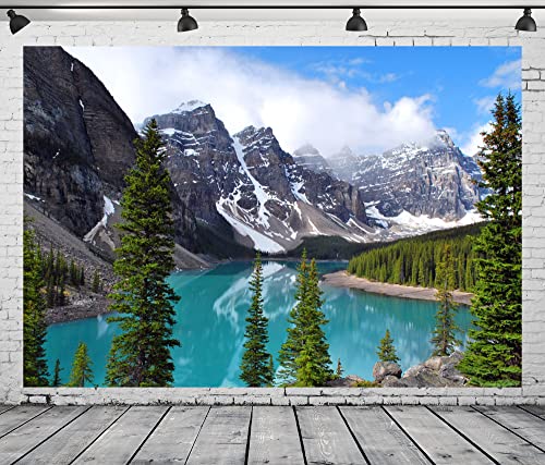 Fondo Fotográfico Tela BELECO 10x8ft Paisaje Montaña miniatura 4