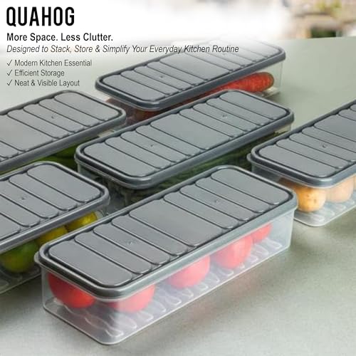 Image of QUAHOG Fridge Storage Containers, Fridge Organiser Storage Boxes, Air Tight Containers for Kitchen Storage, Fridge Storage Box, Storage and Containers, Air Tight Containers for Fridge (6 pcs, 1200 ML)
