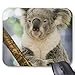 Produktbild Mouse-Pad 24*20cm | Qualitts-Mauspad aus strapazierfhigem Kunststoff mit rutschfester Unterseite aus Zellkautschuk - passend f¨¹r alle gngigen Mouse-Australien Queensland Brisbane Feigenbaum