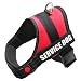 FAYOGOO Dog Vest Harness for Service Dogs, Comfortable Padded Dog Training Vest with Reflective Removable Dog Patches and Handle for Large Medium Small Dogs (XS: Girth 18-21" Neck 11-14")