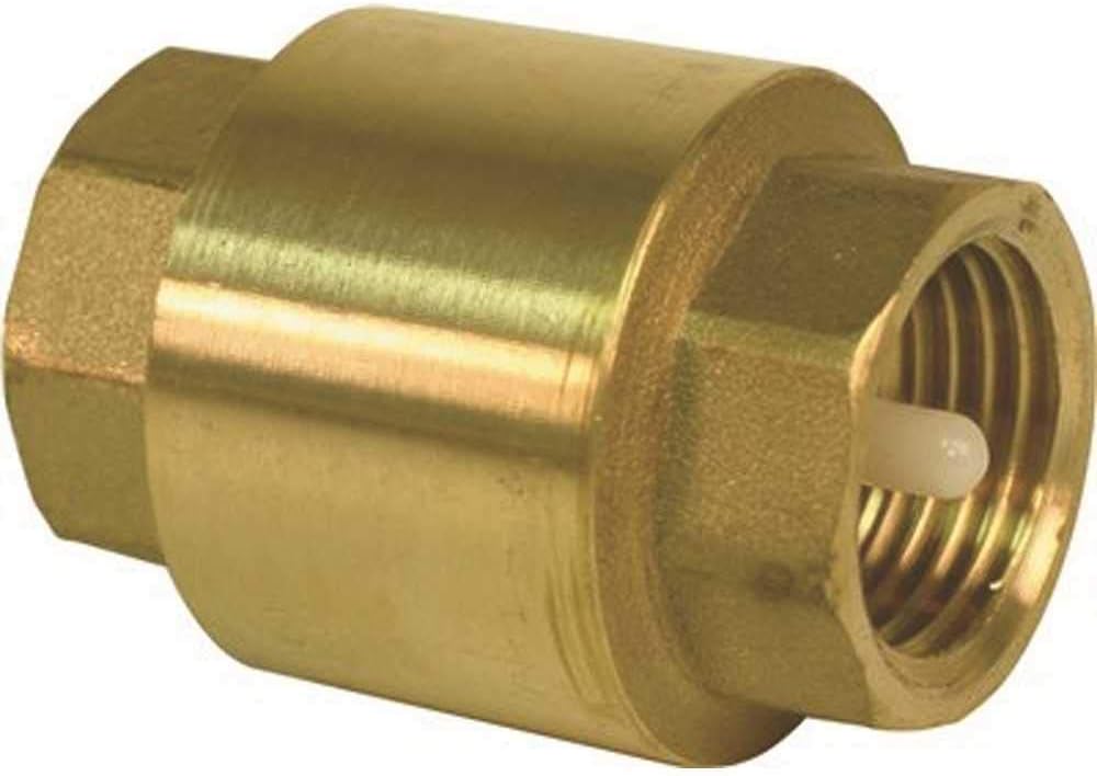 Amazon.com: PROPLUS 270876 Spring Loaded In-Line Check Brass, 2