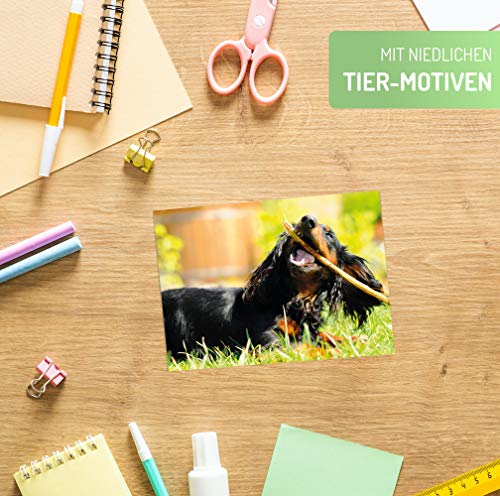 Postkarten-Set Clever Pool mit 36 kreativen Designs