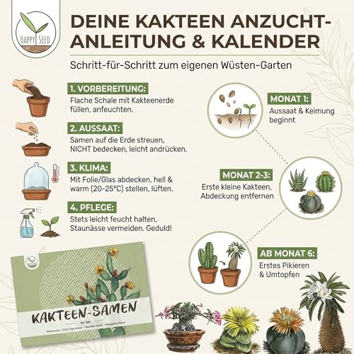 Exotische Kakteen Samen mit hoher Keimrate - Sukkulenten Samen Set für deinen eigenen wunderschön blühenden Kaktus (4er Set Samen Mix)