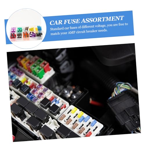 Kit de 50 fusibles mini automotrices para auto, RV, camión, motocicleta y SUV, protección contra sobrecarga y fácil reemplazo miniatura 3